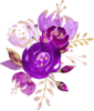 https://i.postimg.cc/HkGDzP1x/Vector-Violet-Flower-PNG-File.png[img][/color][/center]